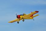 dsc_8875_t1.jpg