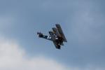 dsc_8950_t1.jpg