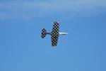 dsc_9230_t1.jpg