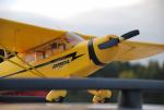 dsc_5155_t1.jpg