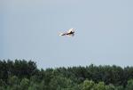dsc_7304_t1.jpg