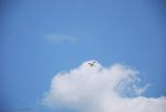 dsc_7057_t1.jpg
