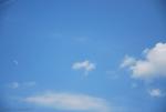 dsc_7065_t1.jpg