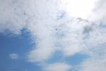 dsc_7067_t1.jpg