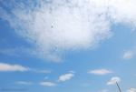 dsc_7069_t1.jpg
