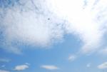 dsc_7070_t1.jpg