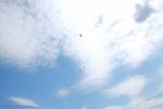 dsc_7071_t1.jpg