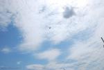 dsc_7072_t1.jpg