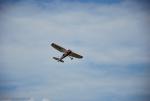 dsc_7107_t1.jpg