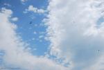 dsc_7111_t1.jpg