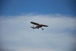 dsc_7112_t1.jpg