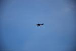 dsc_7253_t1.jpg