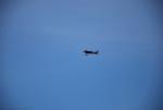 dsc_7254_t1.jpg