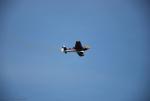 dsc_7259_t1.jpg