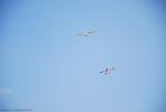 dsc_8819_t1.jpg