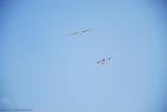 dsc_8820_t1.jpg