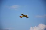 dsc_8821_t1.jpg
