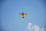 dsc_8824_t1.jpg