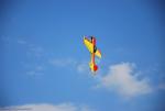 dsc_8828_t1.jpg
