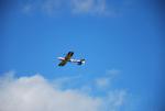 dsc_6549_t1_1.jpg