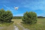dron12_t1.jpg