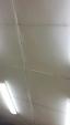 20170726_213318_resized_t1.jpg