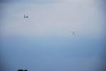dsc_5495_t1.jpg
