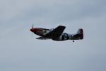 dsc_0436_t1.jpg
