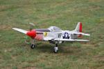 dsc_0458_t1.jpg